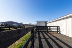 AndsamPhoto-FawnboroughFarm-40