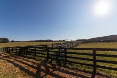 AndsamPhoto-FawnboroughFarm-41
