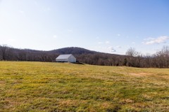 AndsamPhoto-FawnboroughFarm-65